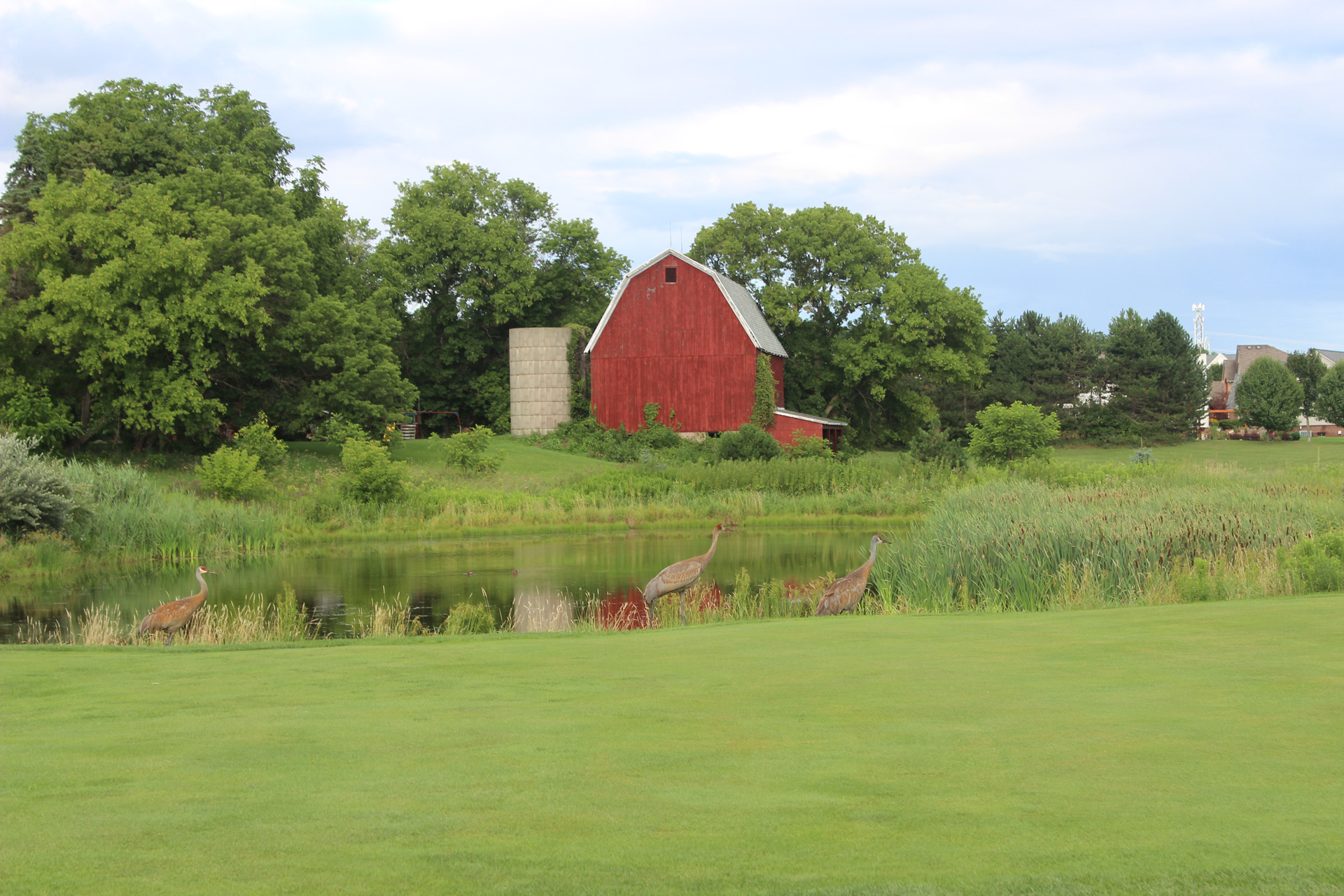 red barn golf course